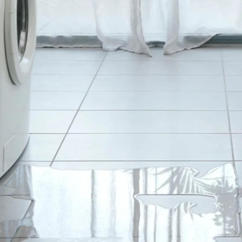 Appliance Leak Cleanup in Daytona Beach, FL